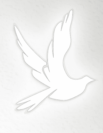 Darcey Allen Obituary